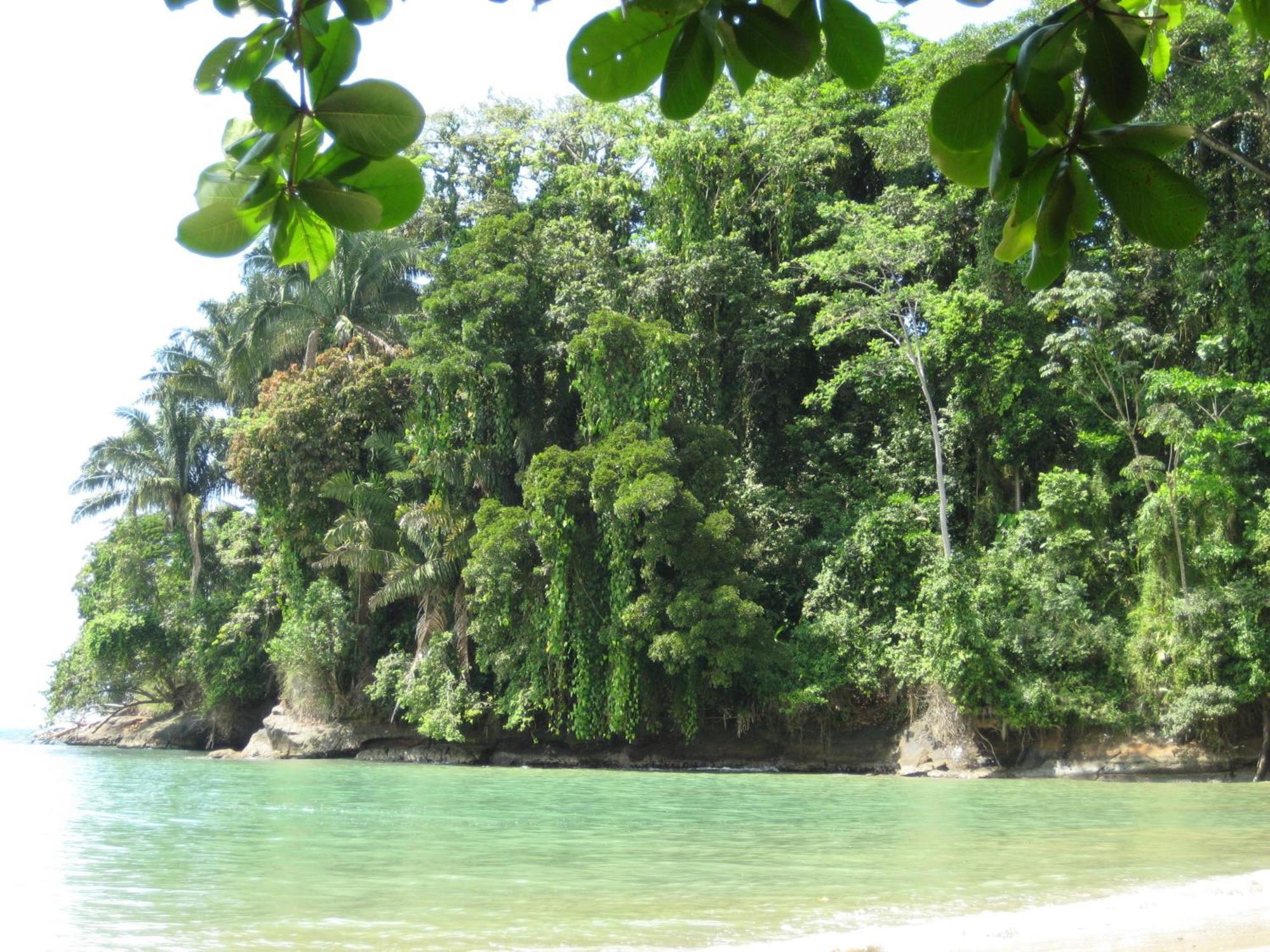 El Tucan Jungle Lodge Puerto Viejo de Talamanca Extérieur photo
