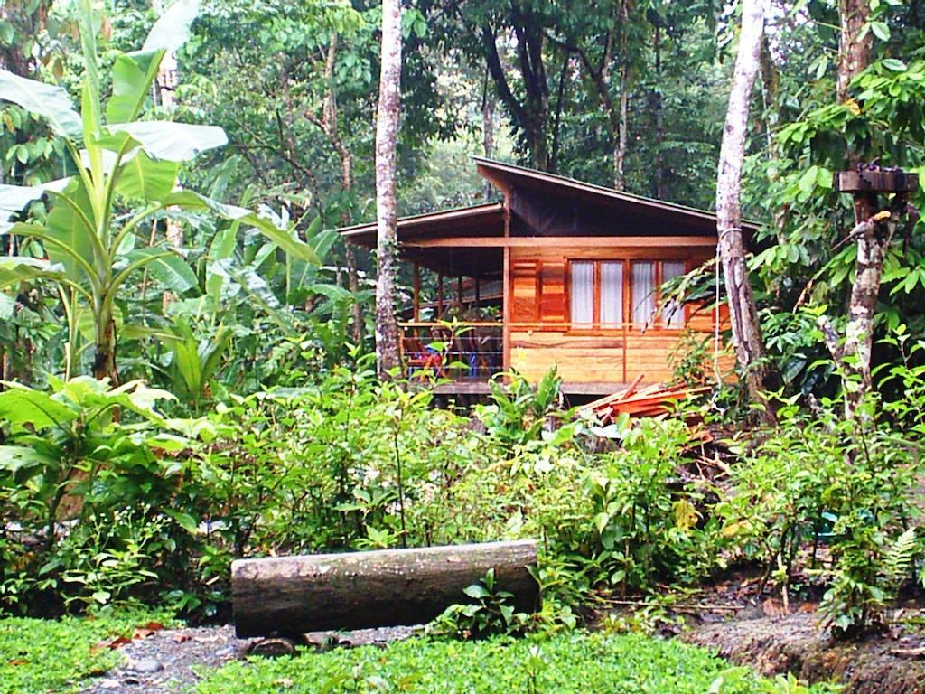 El Tucan Jungle Lodge Puerto Viejo de Talamanca Extérieur photo