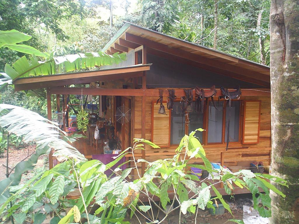 El Tucan Jungle Lodge Puerto Viejo de Talamanca Chambre photo
