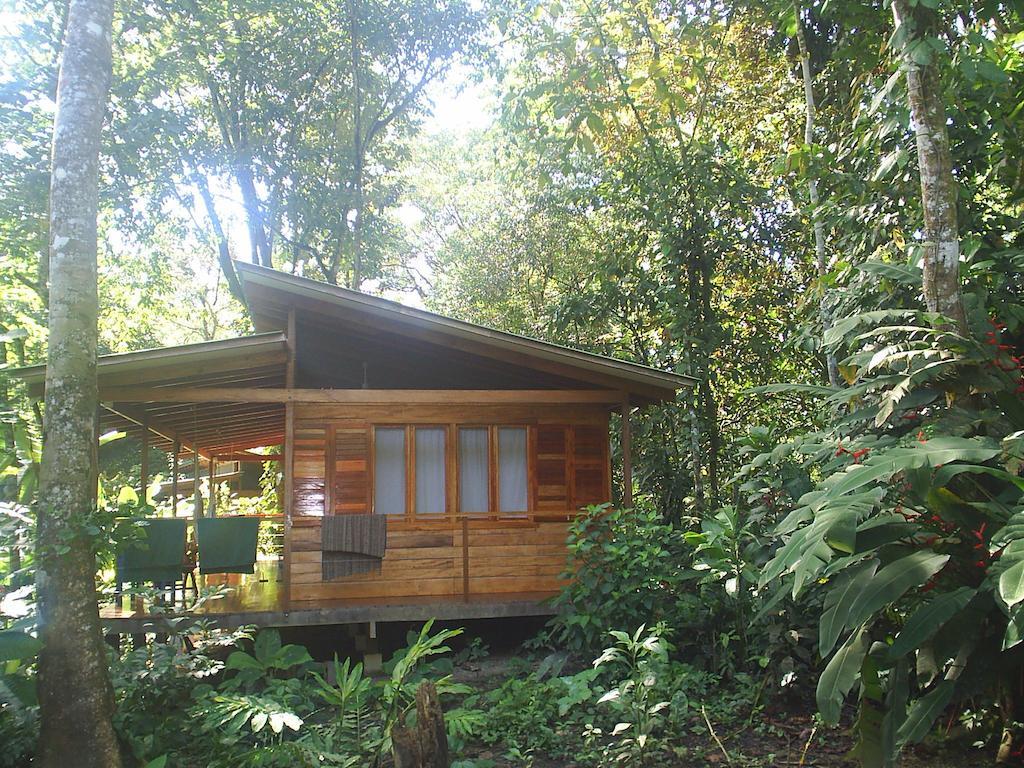 El Tucan Jungle Lodge Puerto Viejo de Talamanca Chambre photo
