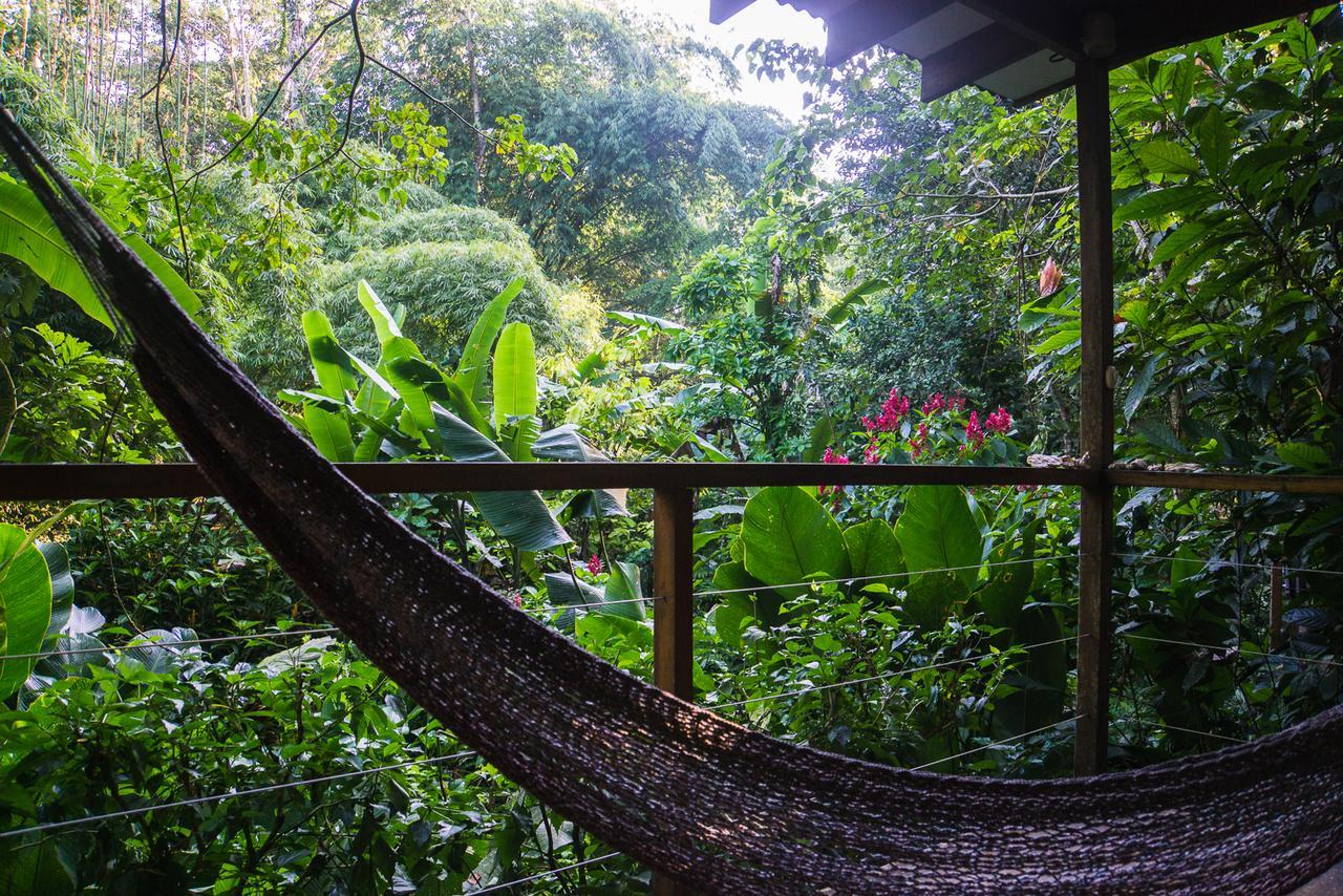 El Tucan Jungle Lodge Puerto Viejo de Talamanca Extérieur photo