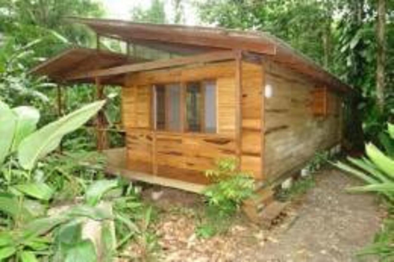 El Tucan Jungle Lodge Puerto Viejo de Talamanca Extérieur photo