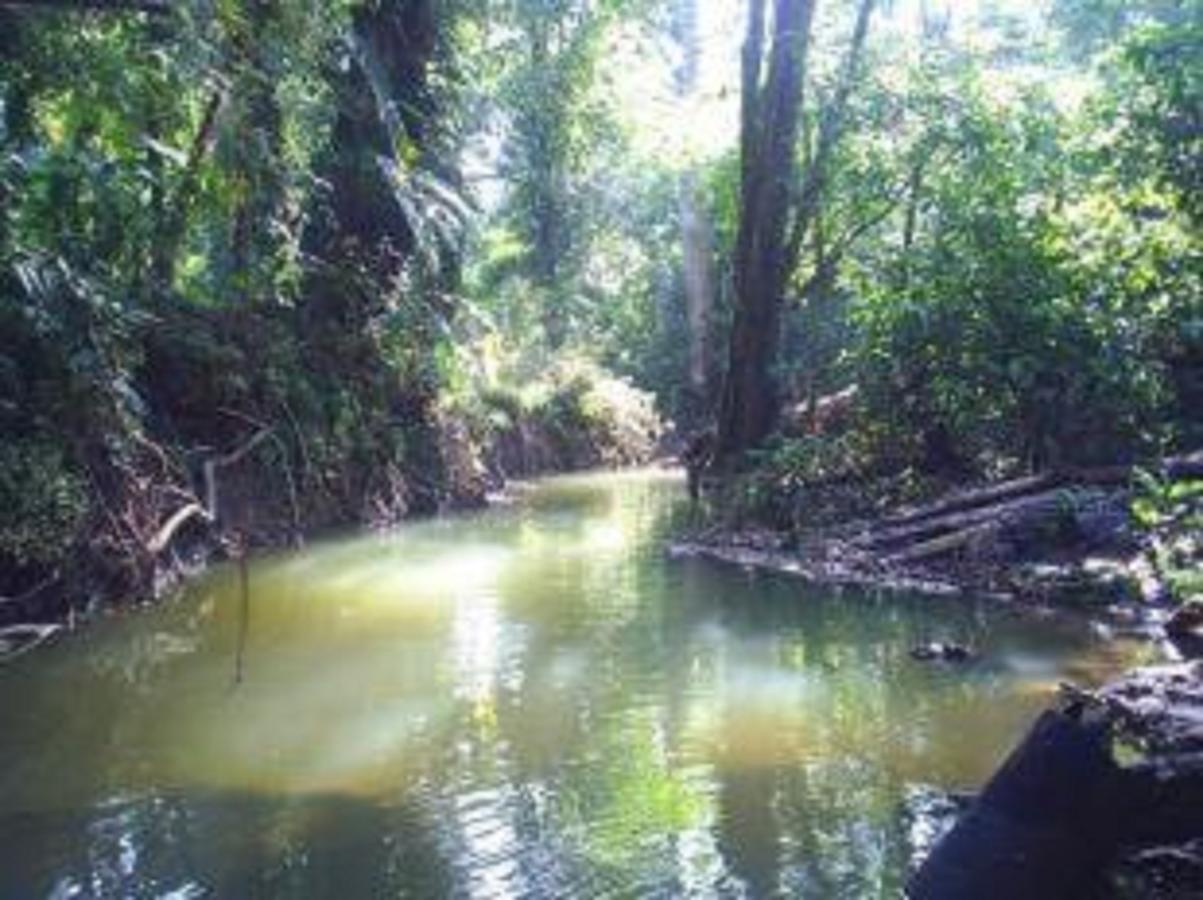 El Tucan Jungle Lodge Puerto Viejo de Talamanca Extérieur photo